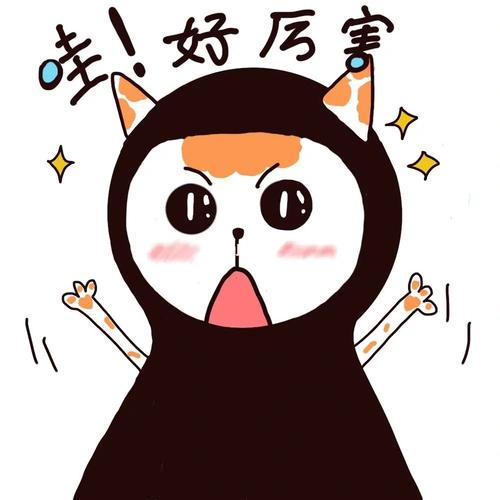 好厉害