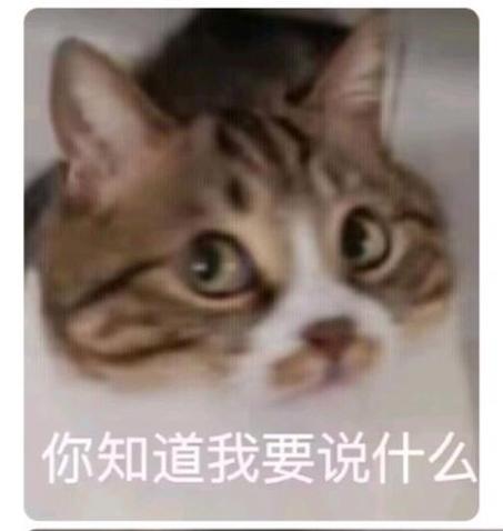 你知道我要说什么