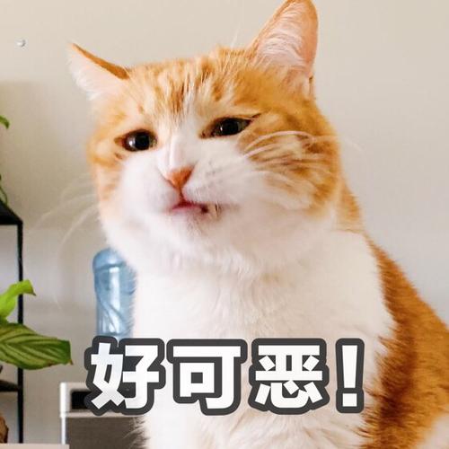 好可恶！
