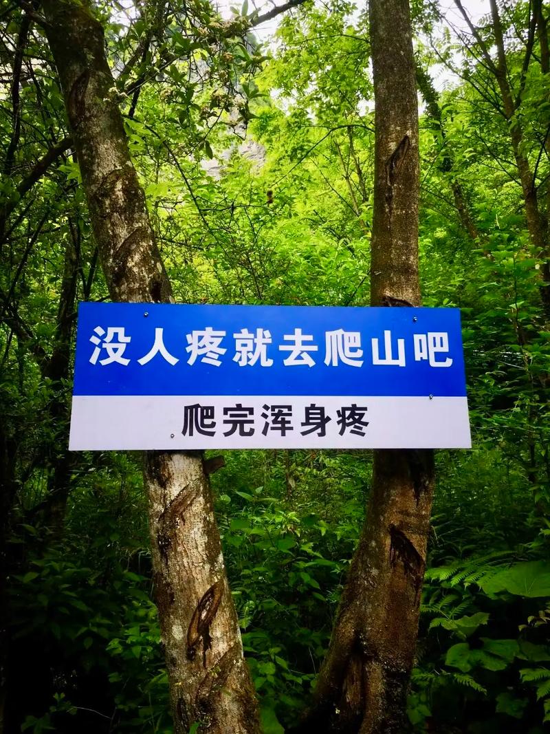 没人疼就去爬山吧 爬完浑身疼