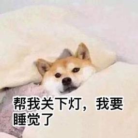 帮我关下灯，我要 睡觉了