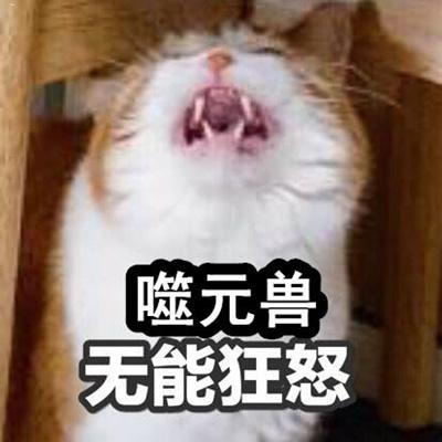 元兽 无能狂怒