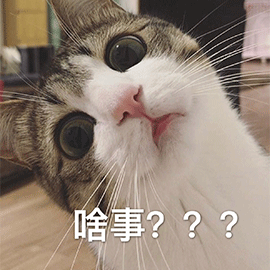 啥事？？？