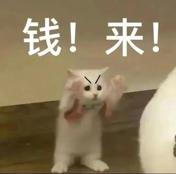 钱！来！
