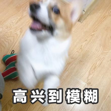 高兴到模糊