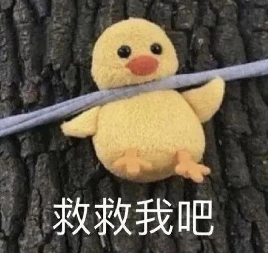 救救我吧