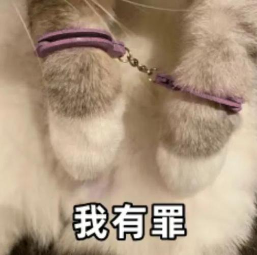 我有罪