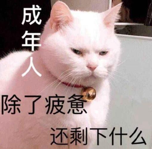 成年人 除了疲惫 还剩下什么