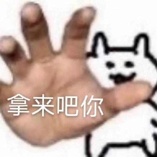 拿来吧你