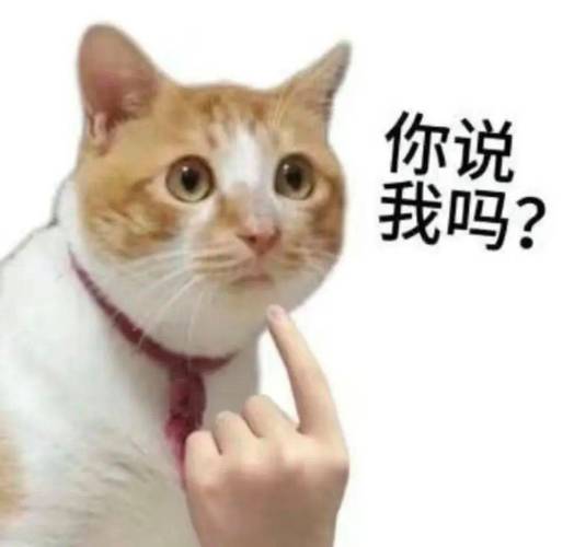 你说 我吗？