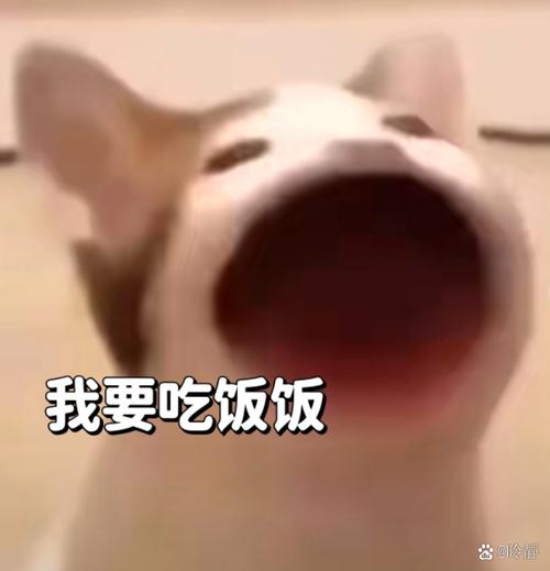 我要吃饭饭