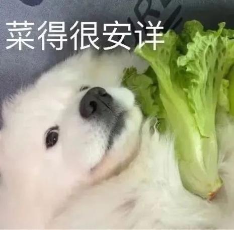 菜得很安详
