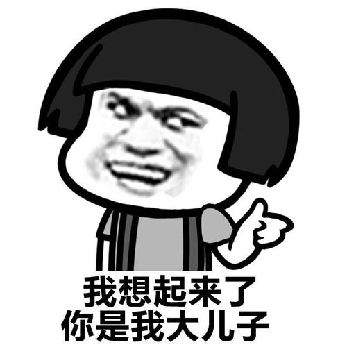 我想起来了 你是我大儿子