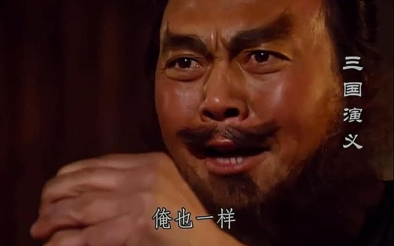 三国演义 俺也一样