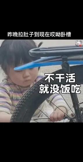昨晚拉肚子到现在哎呦卧槽 不干活 就没饭吃