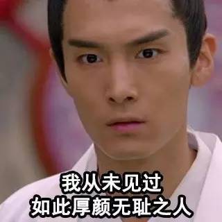 我从未见过 如此厚颜无耻之人