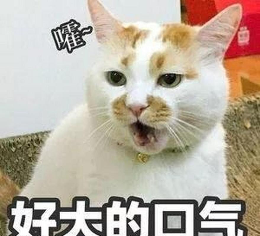 好大的口气