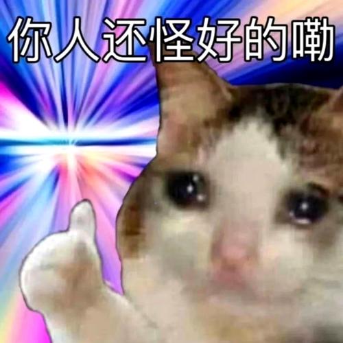 你人还怪好的嘞