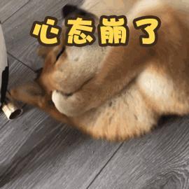 心态崩了