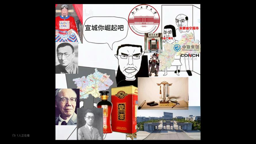 宣城你崛起吧 安徽省宁国市 中鼎集团 CONCH 81人正在看