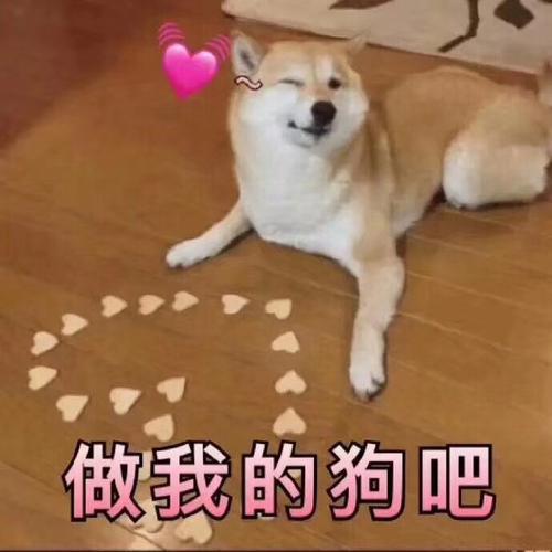 做我的狗吧
