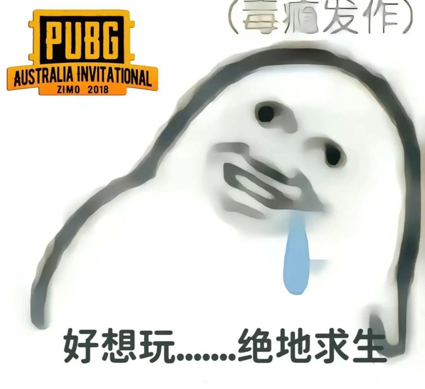 （毒痛发作） PUBG AUSTRALIAINVITATIONAL ZIM02018 好想玩...绝地求生