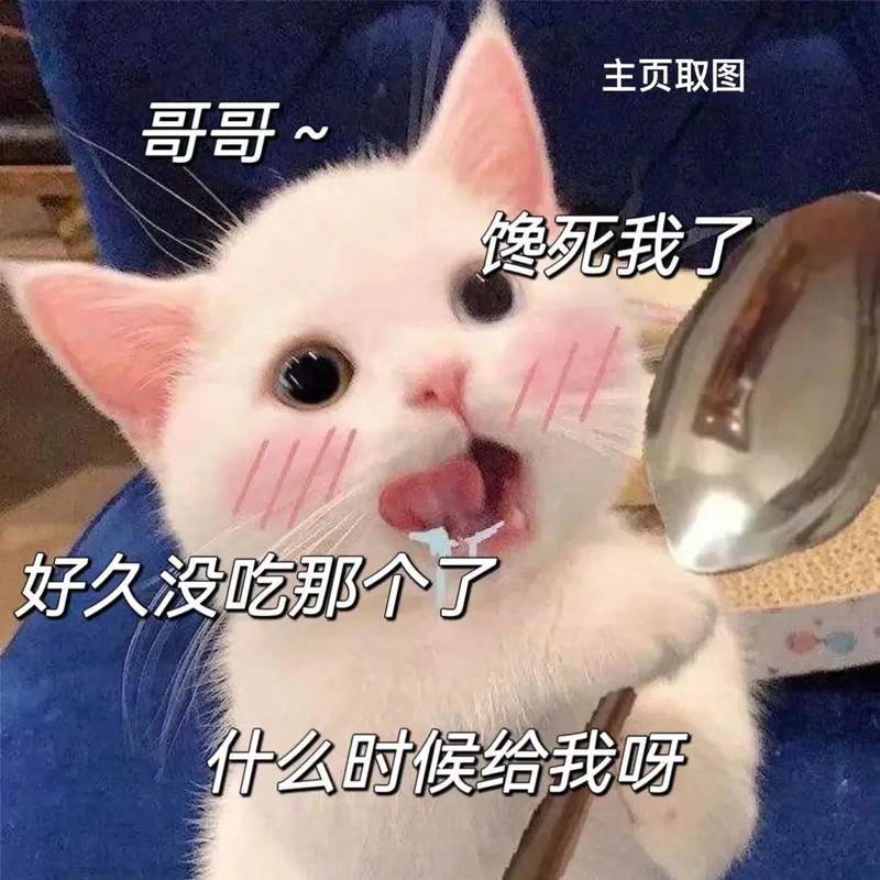 主页取图 哥哥~ 馋死我了 好久没吃那个了 什么时候给我呀