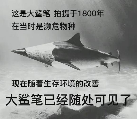 这是大鲨笔拍摄于1800年 在当时是濒危物种 现在随着生存环境的改善 大鲨笔已经随处可见了