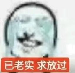 已老实求放过