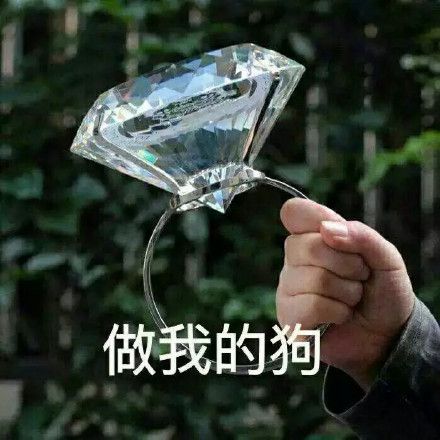 做我的狗