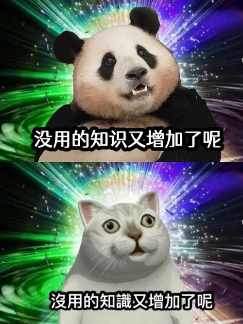 没用的知识又增加了呢 没用的知識又增加了呢