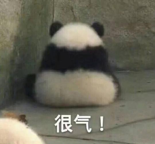 很气！
