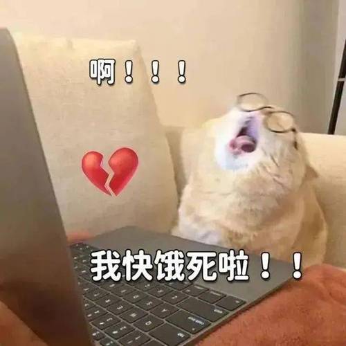 啊！！！ 我快饿死啦！！