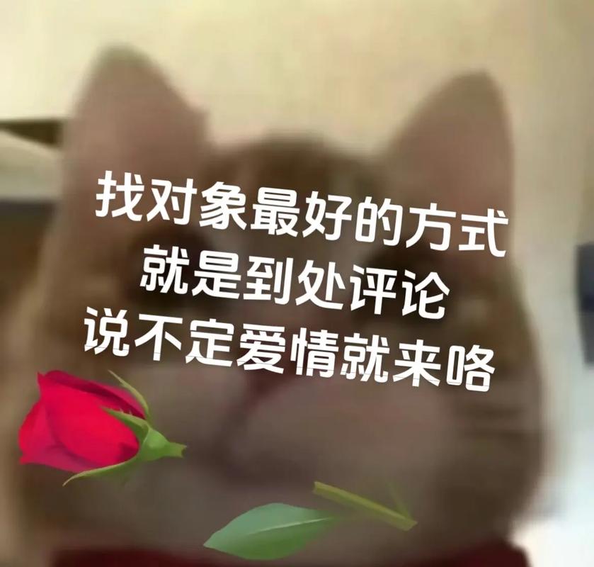 找对象最好的方式 就是到处评论 说不定爱情就来咯