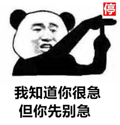 停 我知道你很急 但你先别急