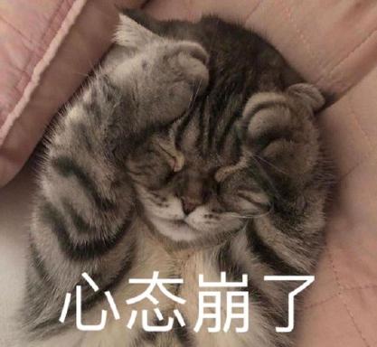 心态崩了