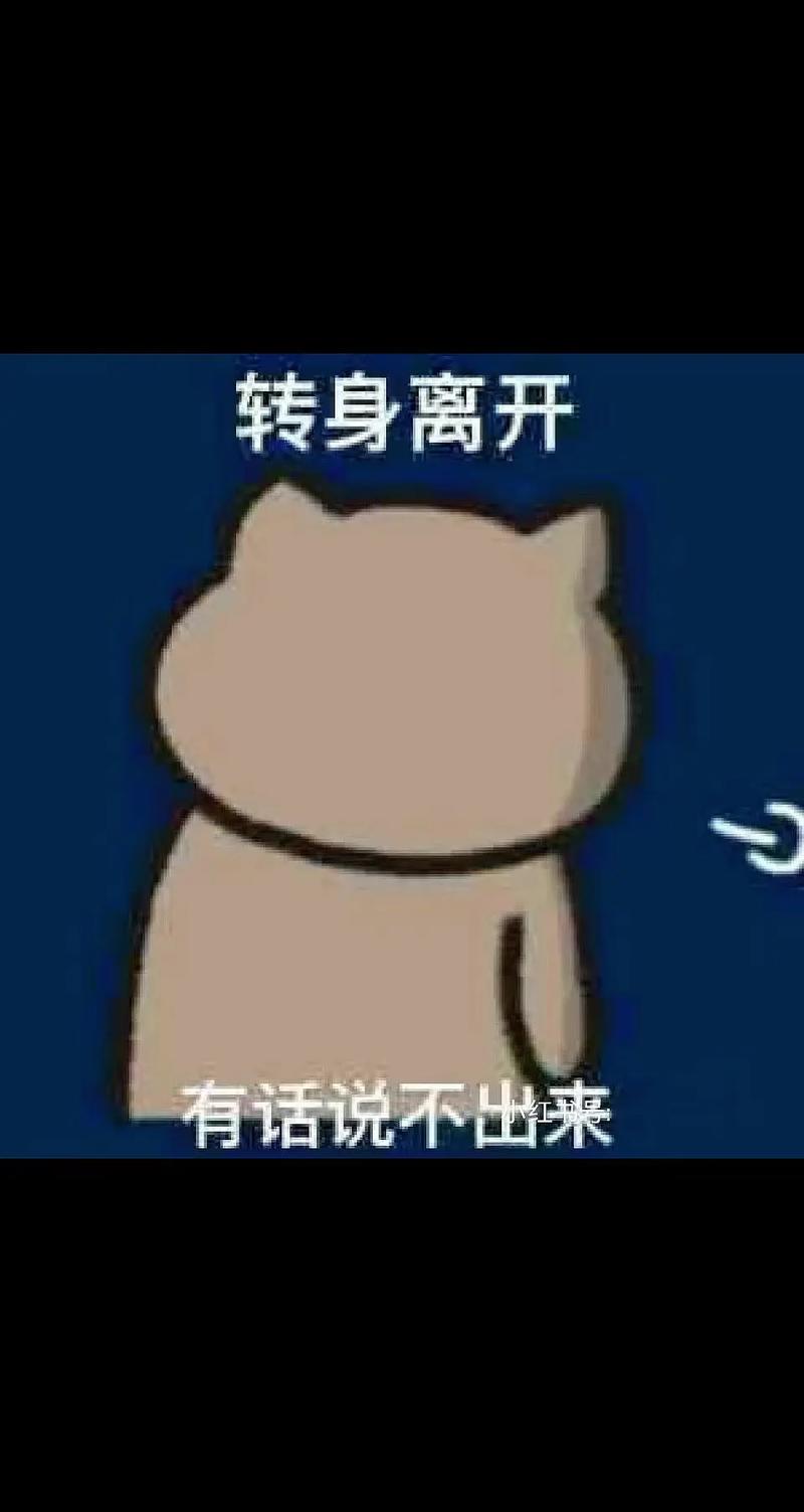 转身离开 有话说不出来