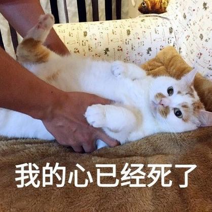 我的心已经死了