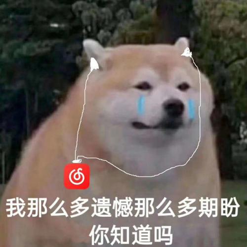 我那么多遗憾那么多期盼 你知道吗