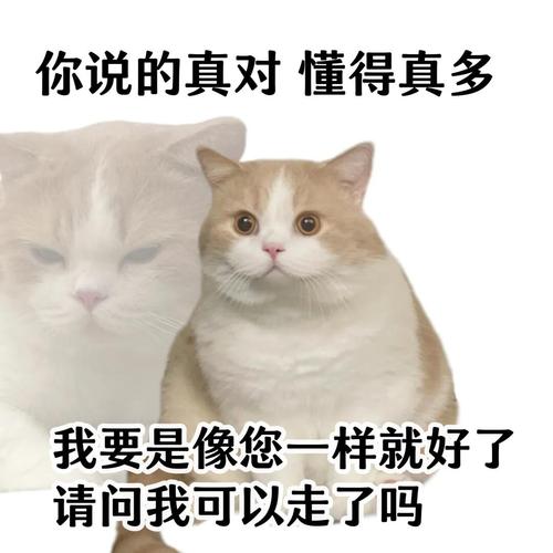 你说的真对懂得真多 我要是像您一样就好了 请问我可以走了吗