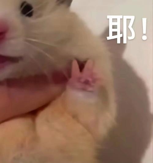 耶！
