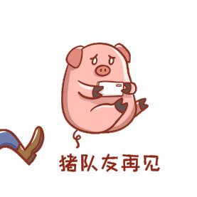 猪队友再见