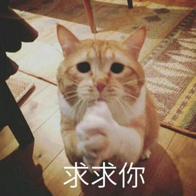 求求你