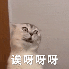 诶呀呀呀