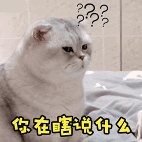 你在瞎说什么