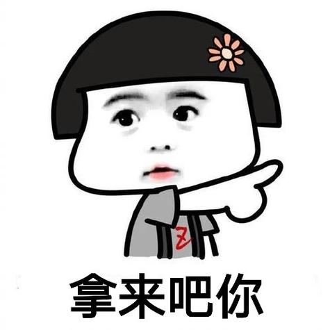 拿来吧你