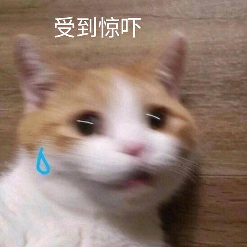 受到惊吓