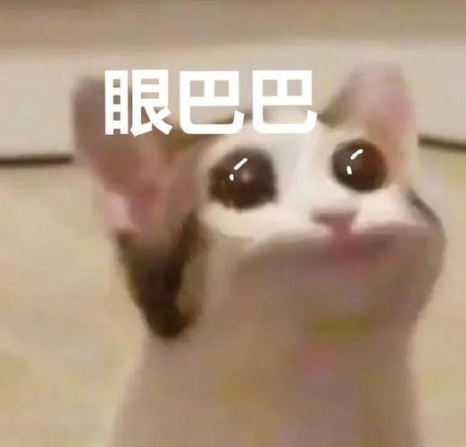 眼巴巴