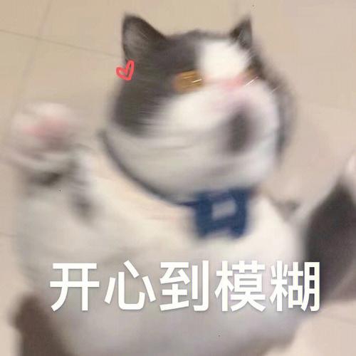 开心到模糊