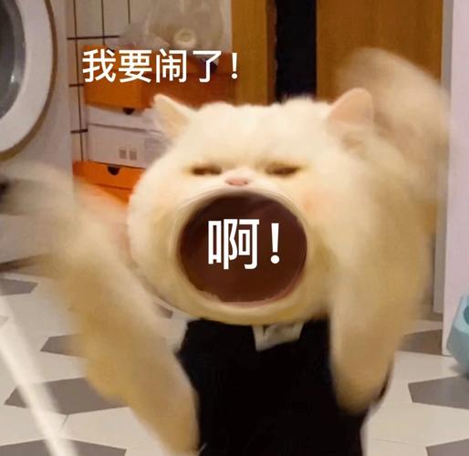我要闹了！ 啊！